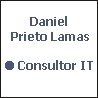 Consultor IT